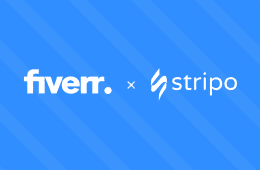 Find Stripo-certified experts on Fiverr